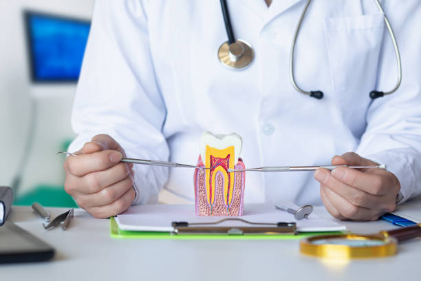 Best Pediatric Emergency Dentist in Hidden Valley, IN